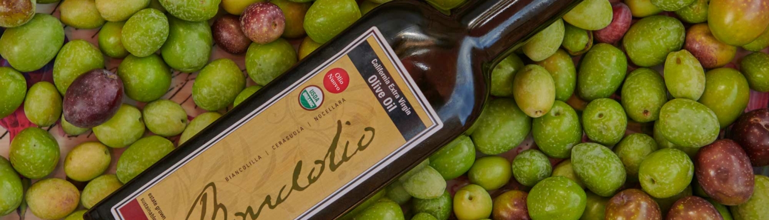 Bottle of Bondolio Olive Oil laying on pile of olives
