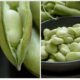 Fava bean in pod and in bowl